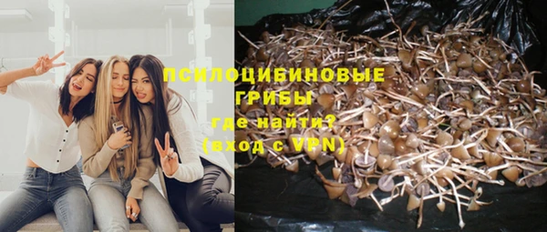 мескалин Осинники