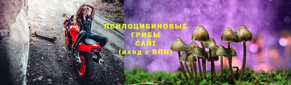Альфа ПВП Няндома