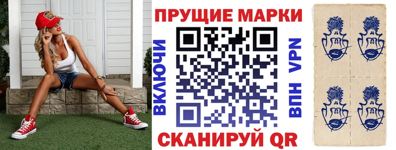 где купить   OMG как войти  Марки NBOMe 1,8мг  Инта 