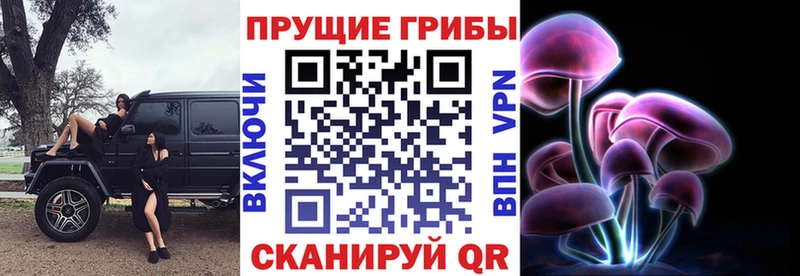 Галлюциногенные грибы Magic Shrooms  наркошоп  Инта 